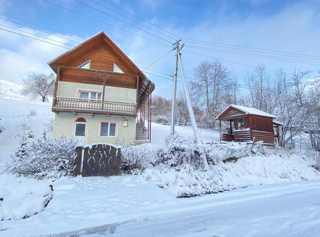 Appartement Карпатський Будинок à Izki Extérieur photo